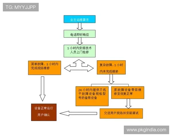 DB真人旗舰中国平台的客户服务与技术支持体系全面解析